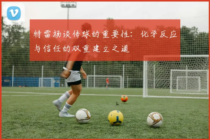 特雷杨谈传球的重要性：化学反应与信任的双重建立之道