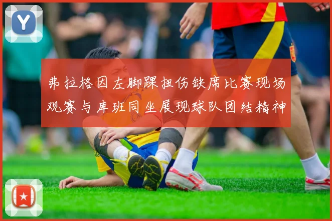 弗拉格因左脚踝扭伤缺席比赛现场观赛与库班同坐展现球队团结精神