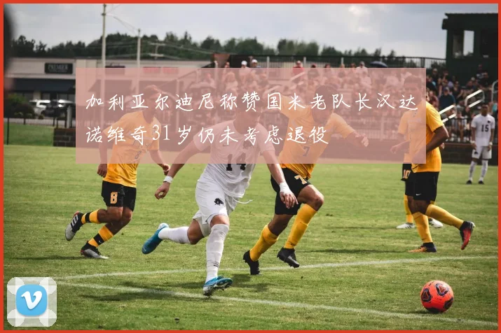 加利亚尔迪尼称赞国米老队长汉达诺维奇31岁仍未考虑退役